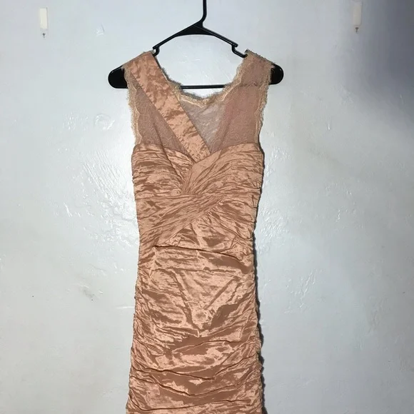NWT Bcbgmaxazria geo formal gown blush pink color sz 8 lace taffeta fit + flare - Picture 9 of 15